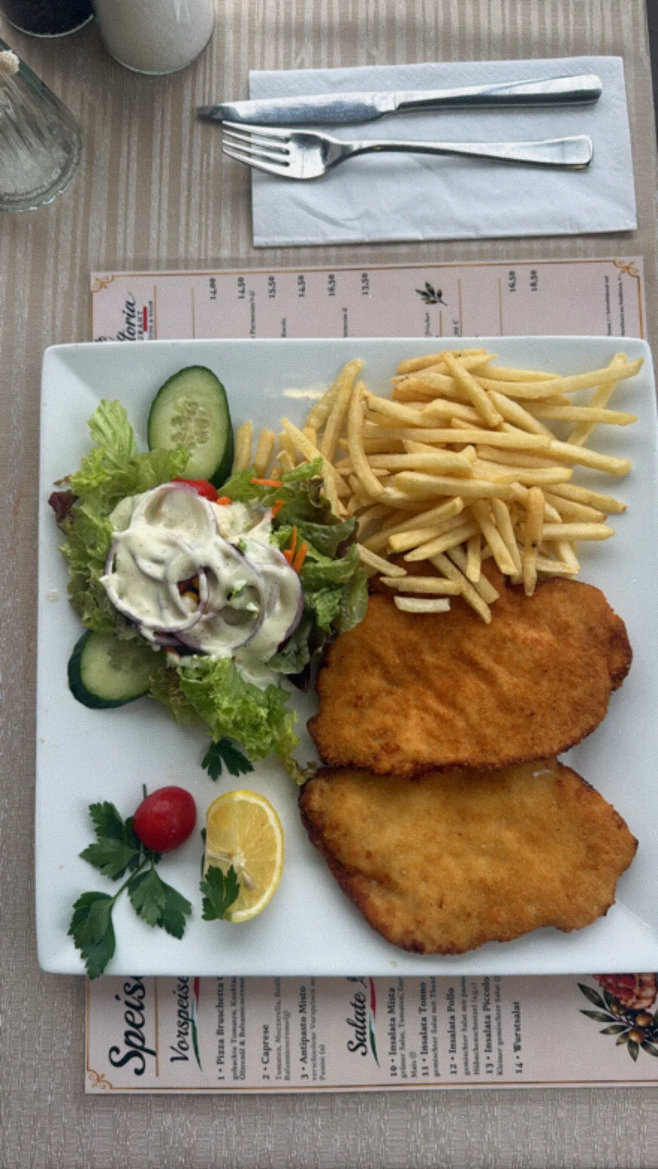 Schnitzel mit Pommes und Salat