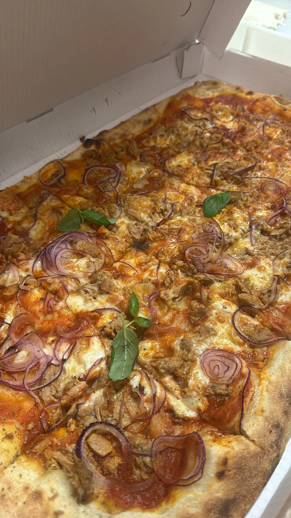 Großes Pizza-Blech mit Thunfisch und roten Zwiebeln